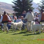 Redyk, Idaho – 2006